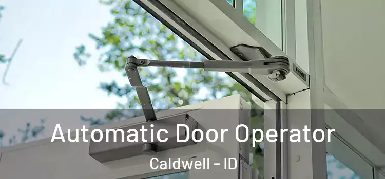 Automatic Door Operator Caldwell - ID