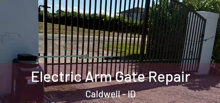  Electric Arm Gate Repair Caldwell - ID