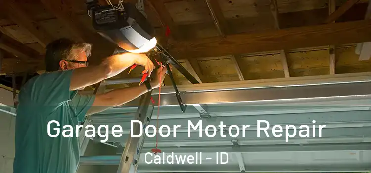  Garage Door Motor Repair Caldwell - ID