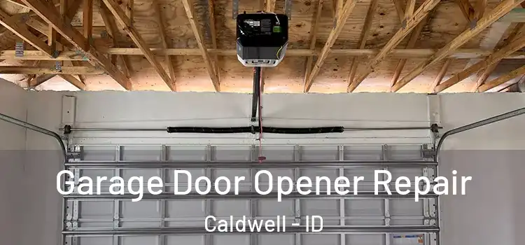  Garage Door Opener Repair Caldwell - ID