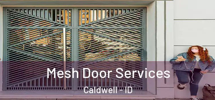 Mesh Door Services Caldwell - ID